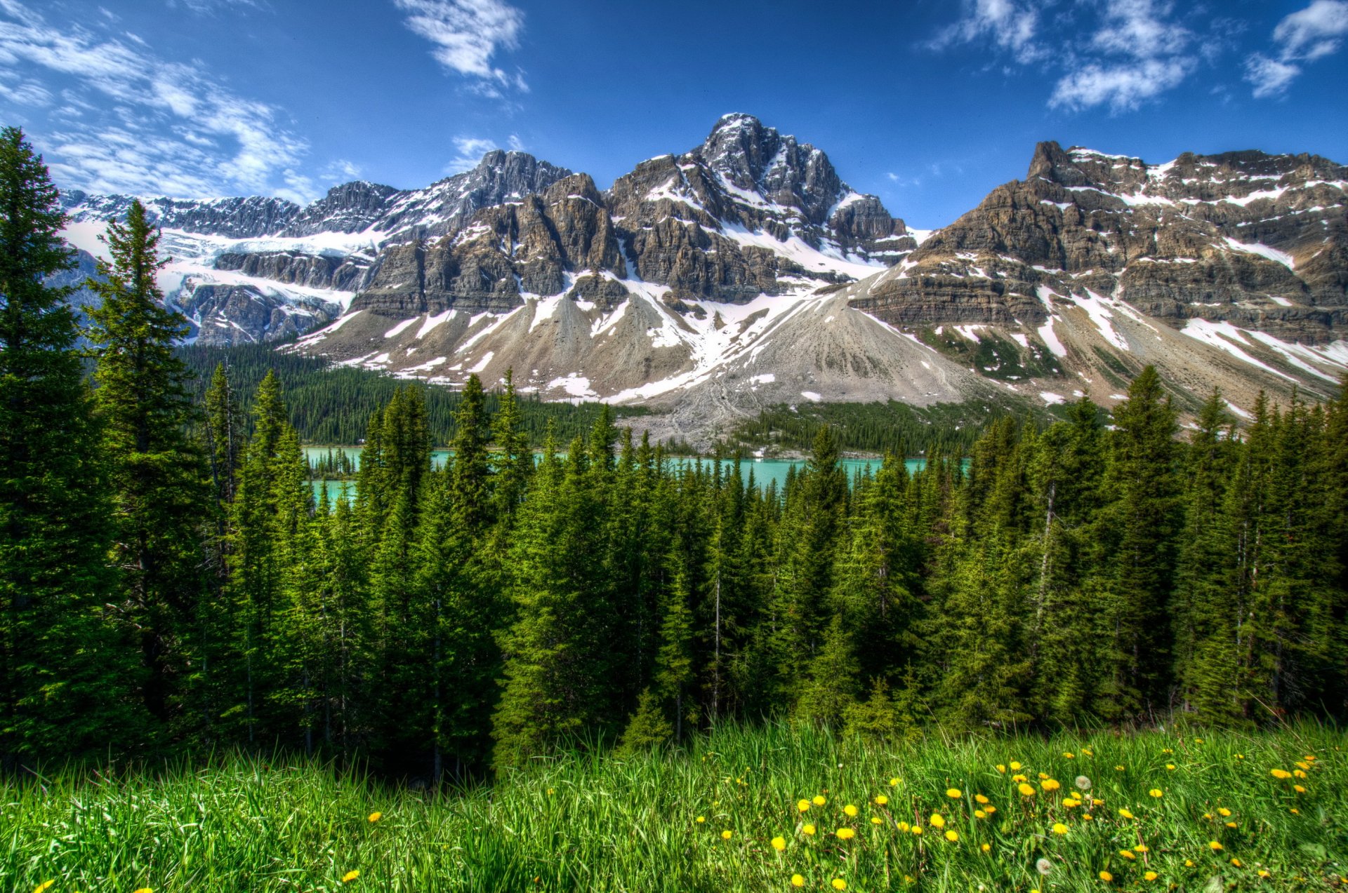 parco canada montagne paesaggio foresta banff erba alberi hdr natura