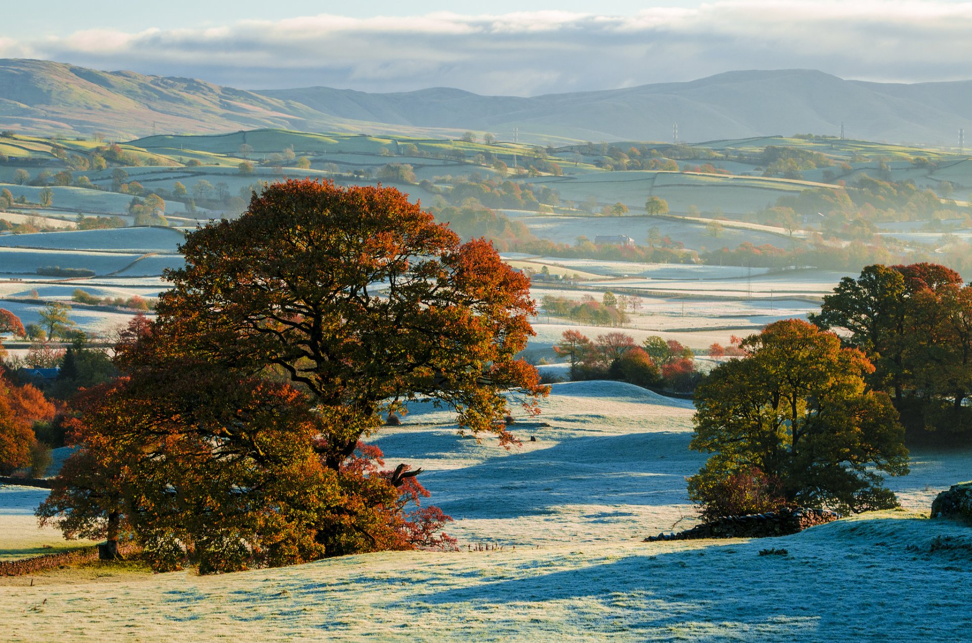 hills of the field tree autumn frost the first snow