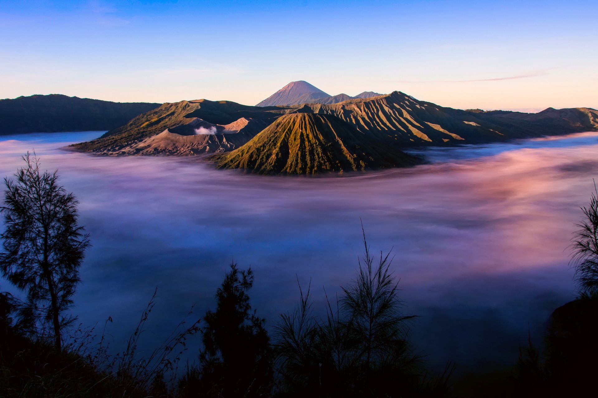 indonesien insel java vulkankomplex-caldera tengger tengger bromo-vulkan morgen nebel gras silhouetten