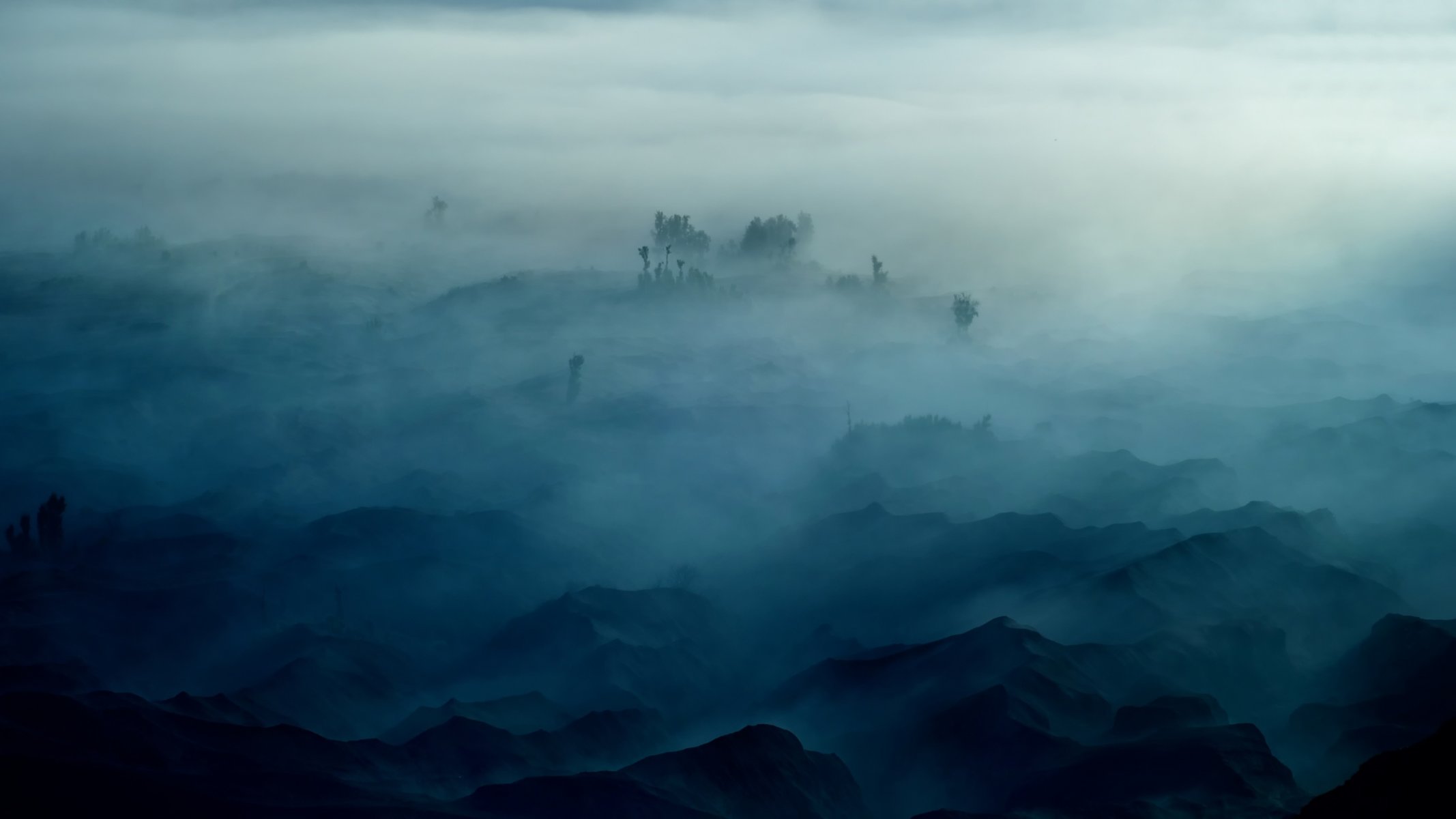 nebbia alberi montagne