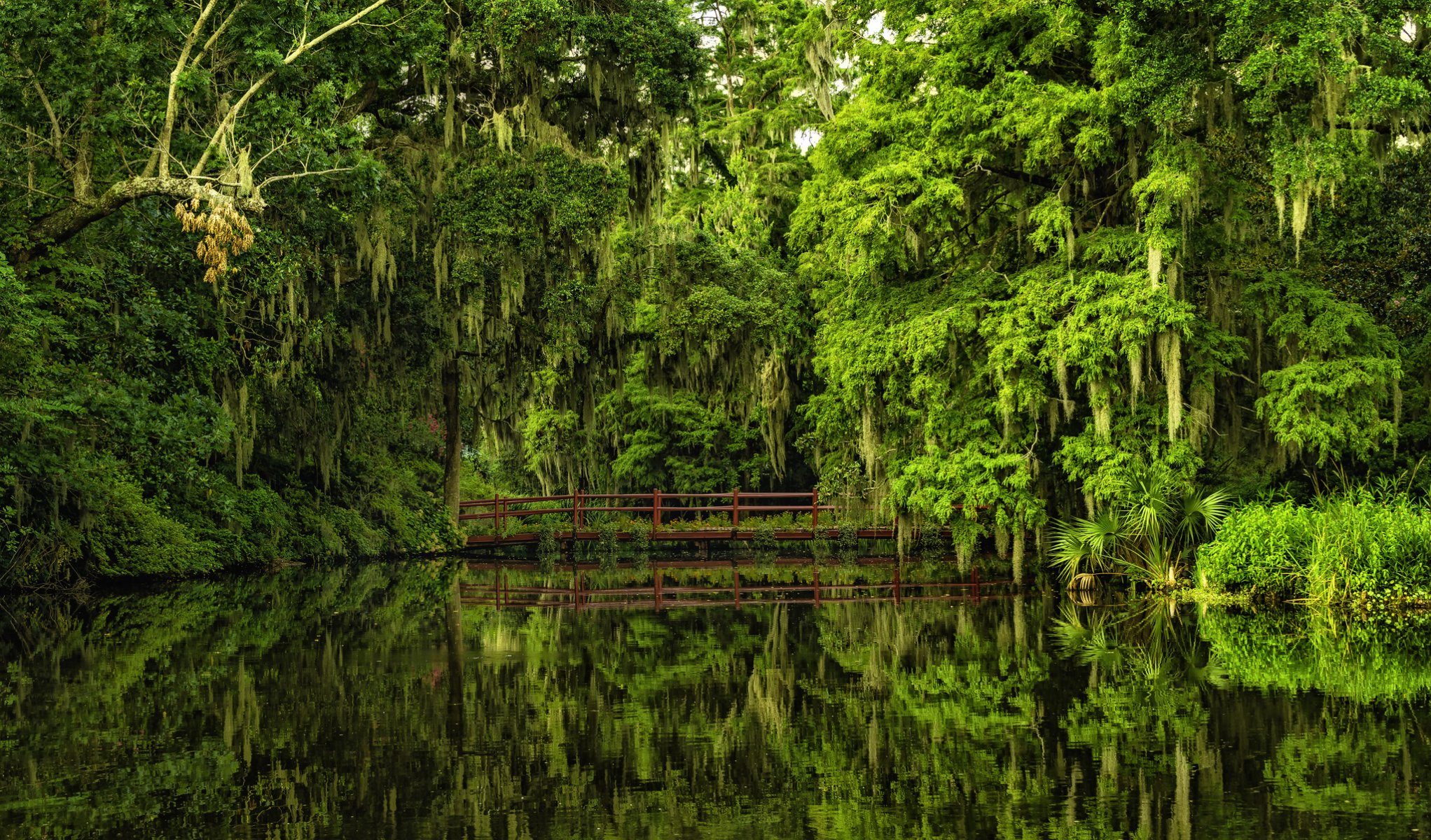 magnolia gardens charleston south carolina magnolia gardens charleston brücke reflexion wasser bäume