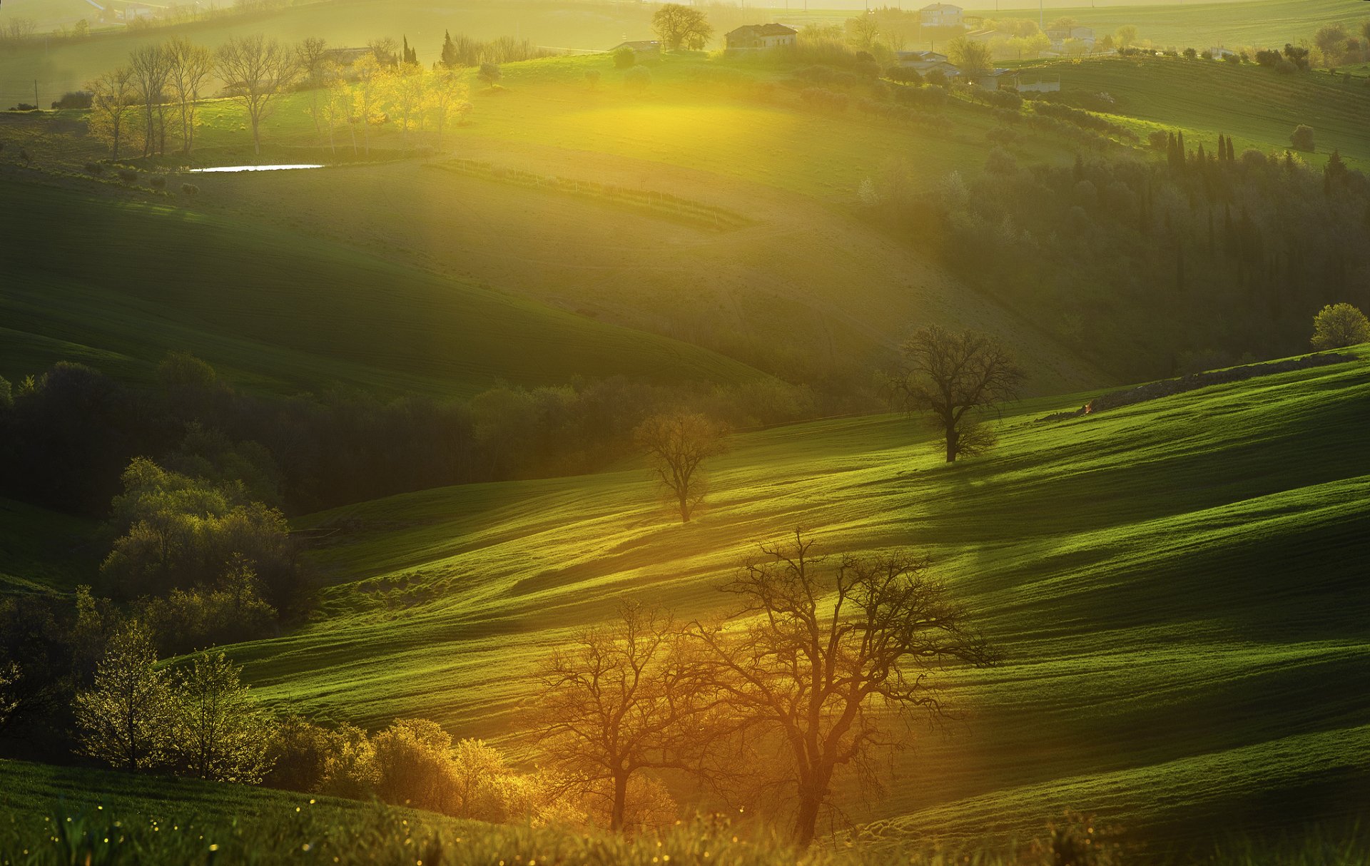 italia alba colline alberi case campi mattina