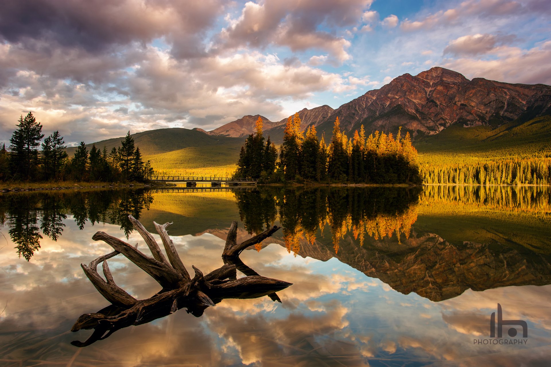 canada alberta parc national de jasper lac pyramide montagnes lac bois flotté forêt matin lumière