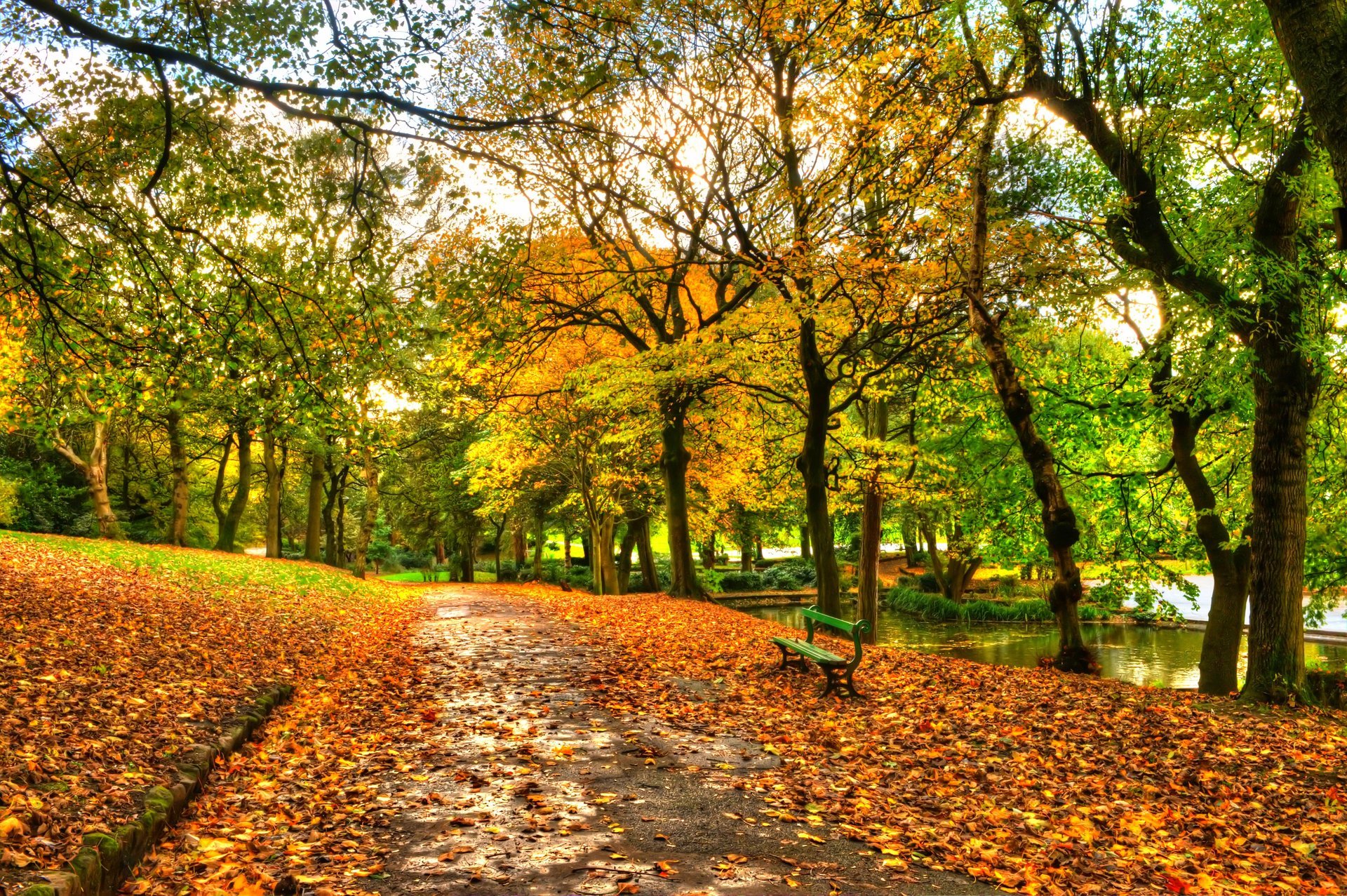 feuilles parc ruelle arbres forêt automne marche hdr nature rivière eau ciel banc vue chute banc vue