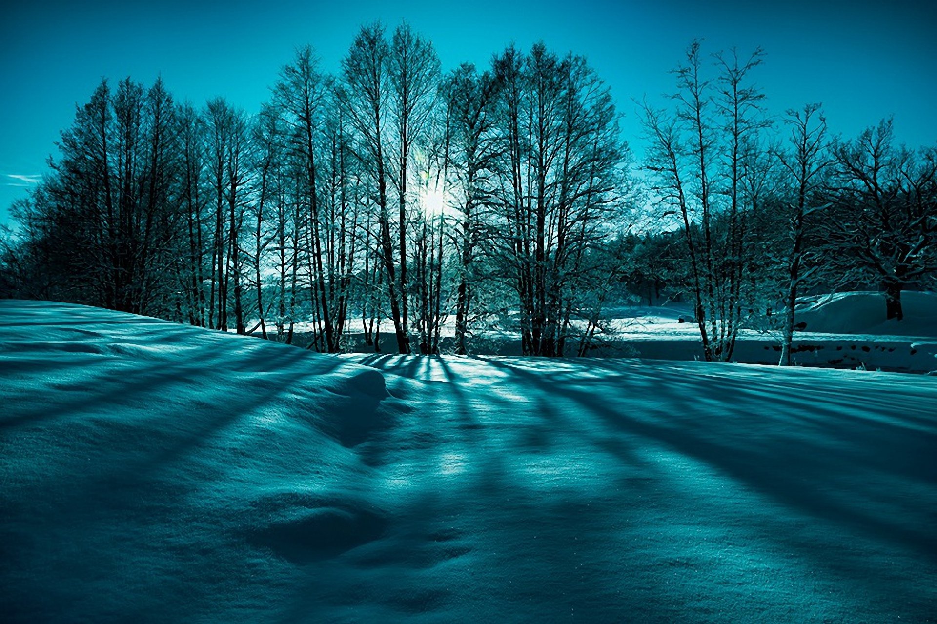 naturaleza invierno nieve árboles sol rayos