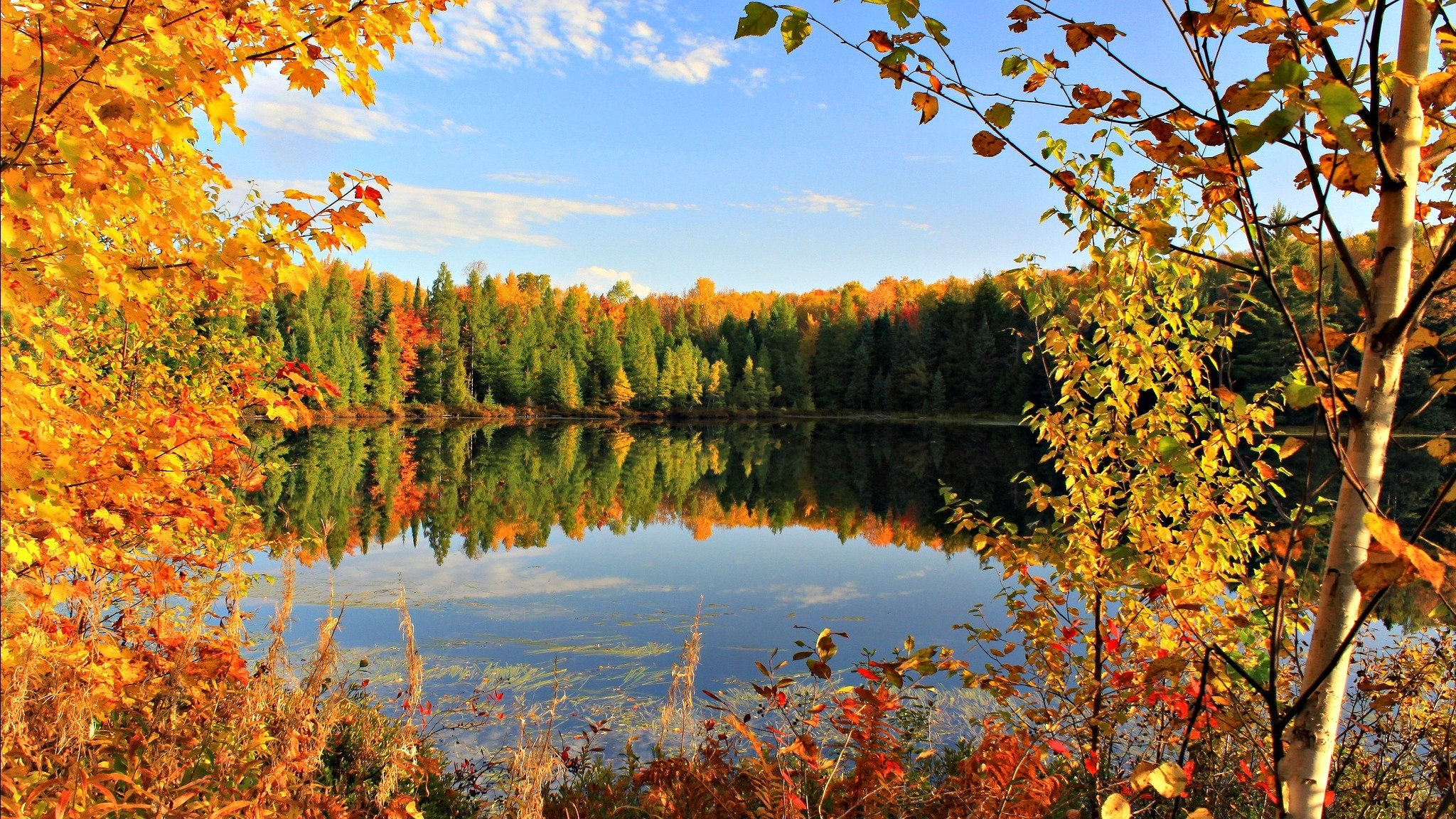 otoño otoño dorado hojas cielo estanque lago nubes septiembre árboles