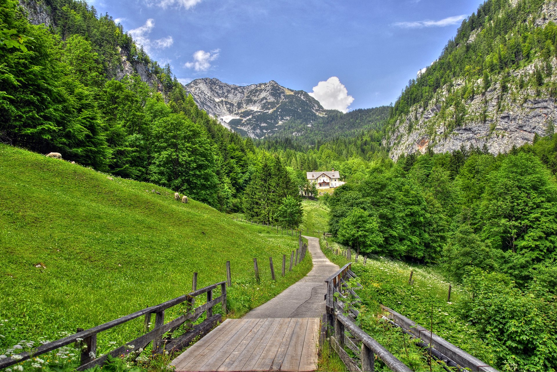 cielo nubes montañas alpes árboles pendiente casa hierba prado puente carretera