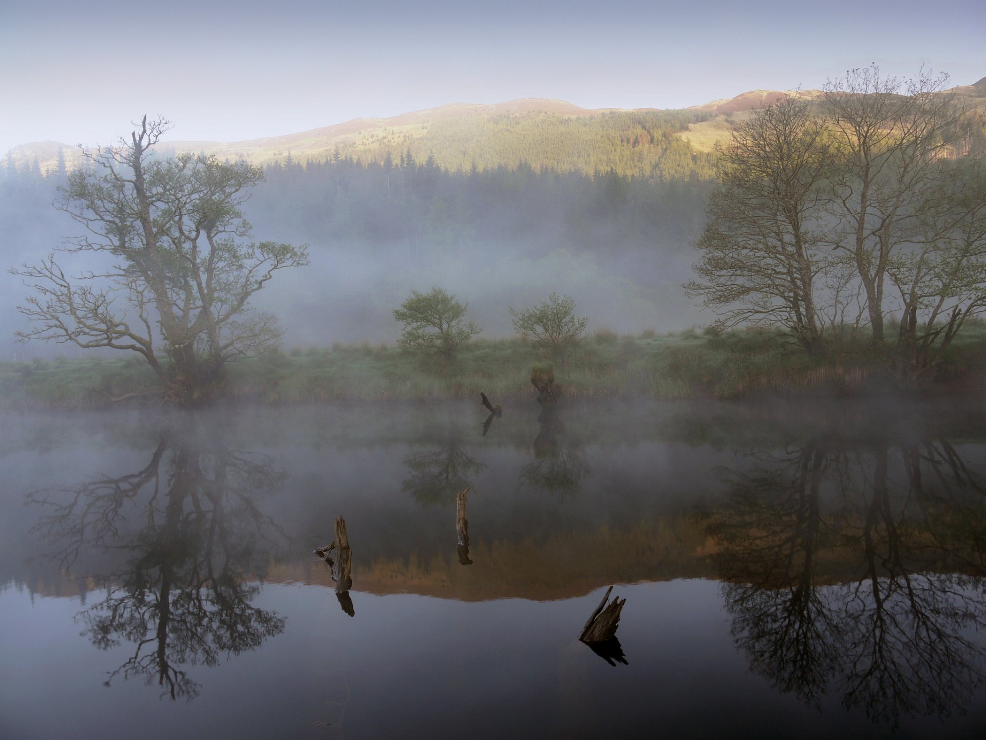 montañas bosque lago niebla