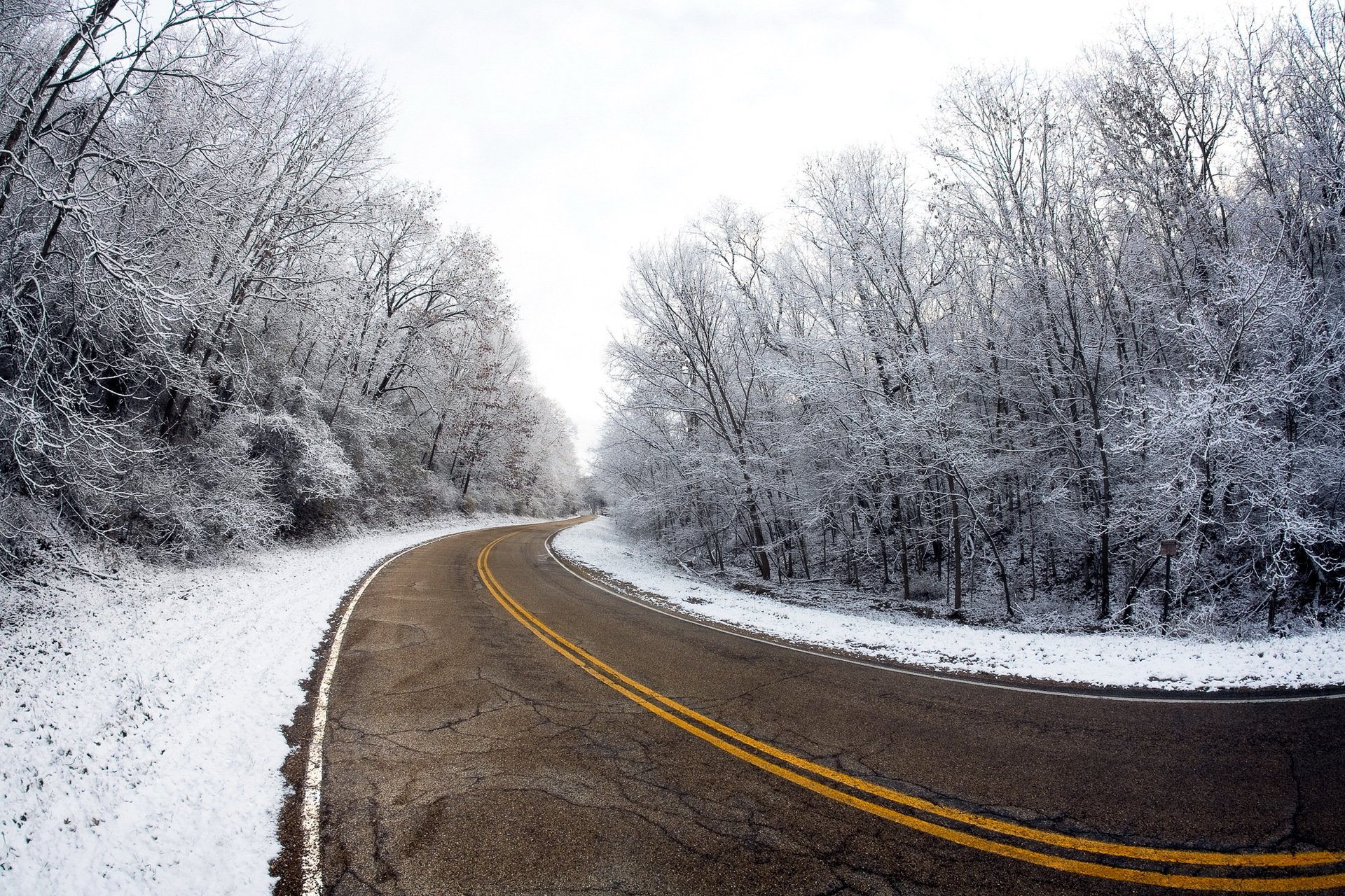 carretera invierno árboles paisaje