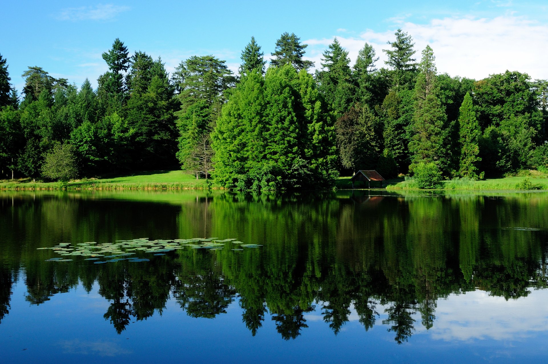 bourgogne france landscape nature tree green lake water reflection