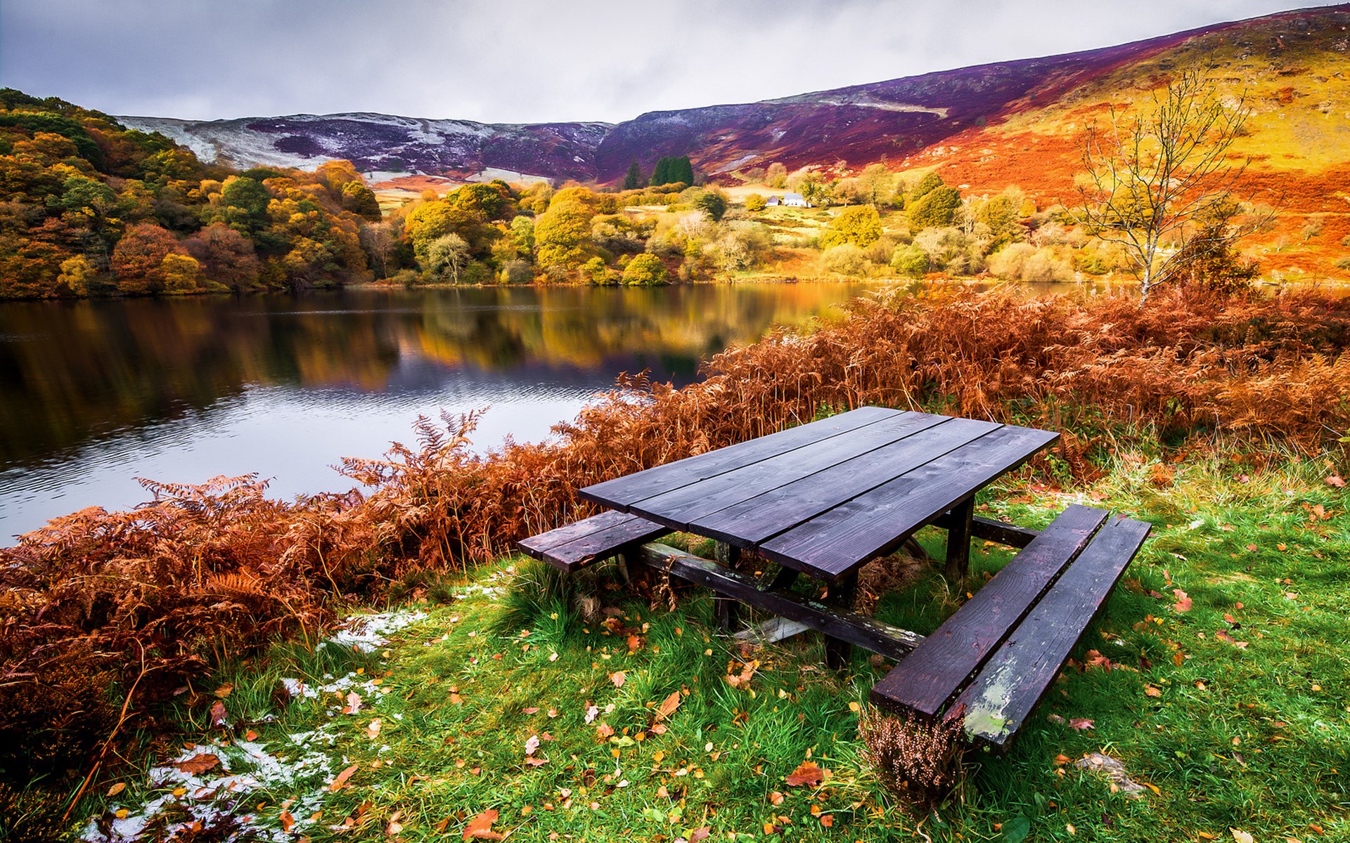 landschaft herbst fluss ufer bäume tisch bänke gras blätter