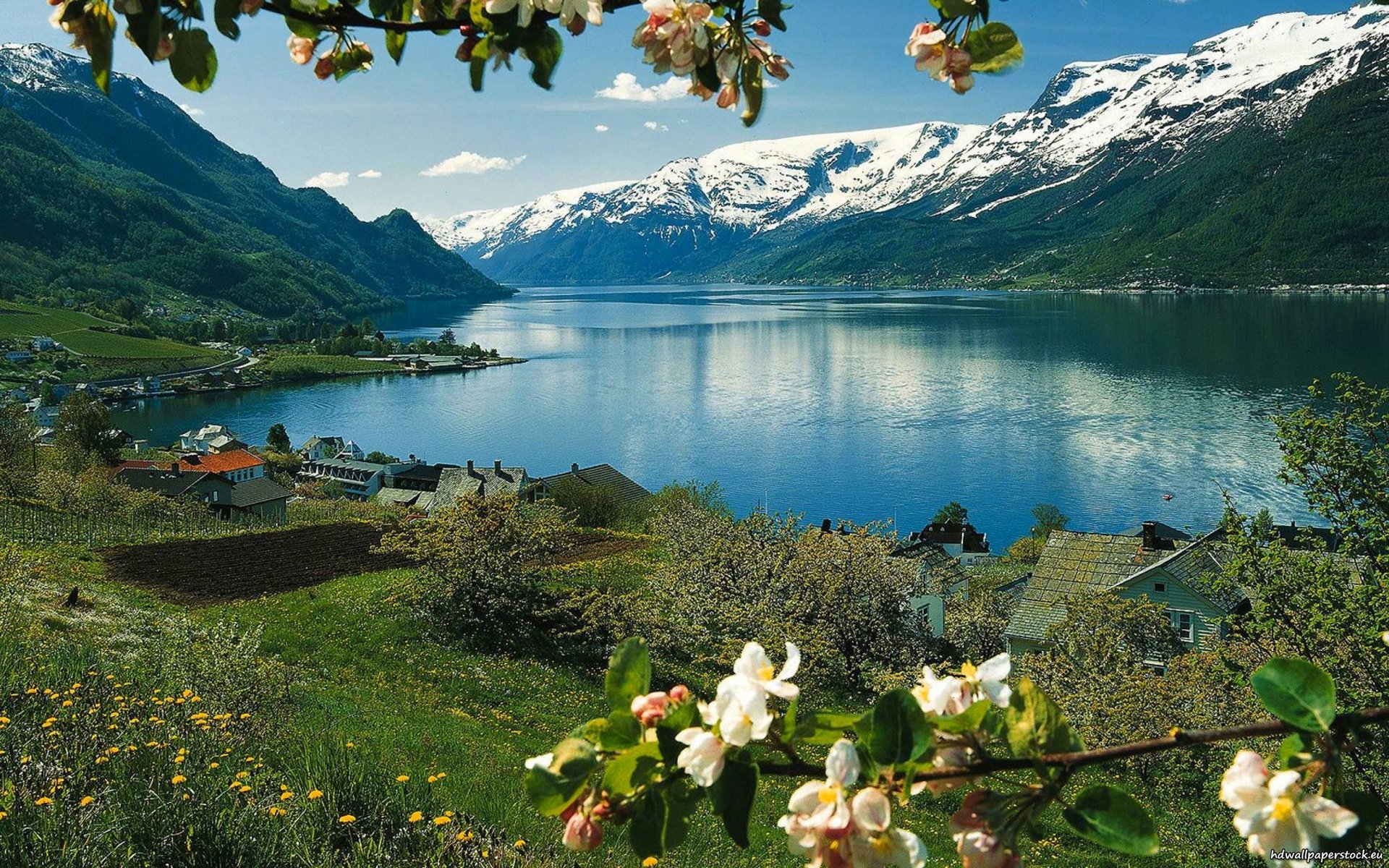 cielo lago montagne casa fiori neve erba primavera