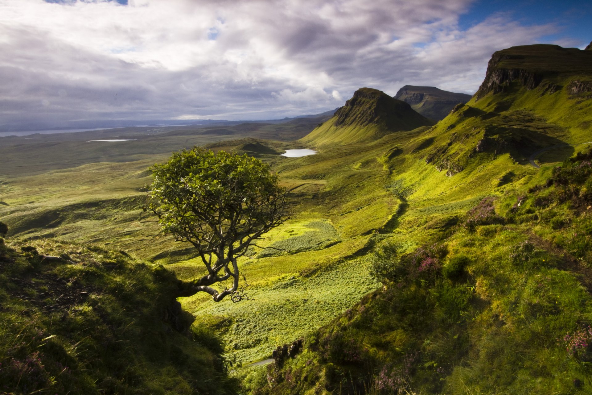 scozia isola skye laghi montagne albero