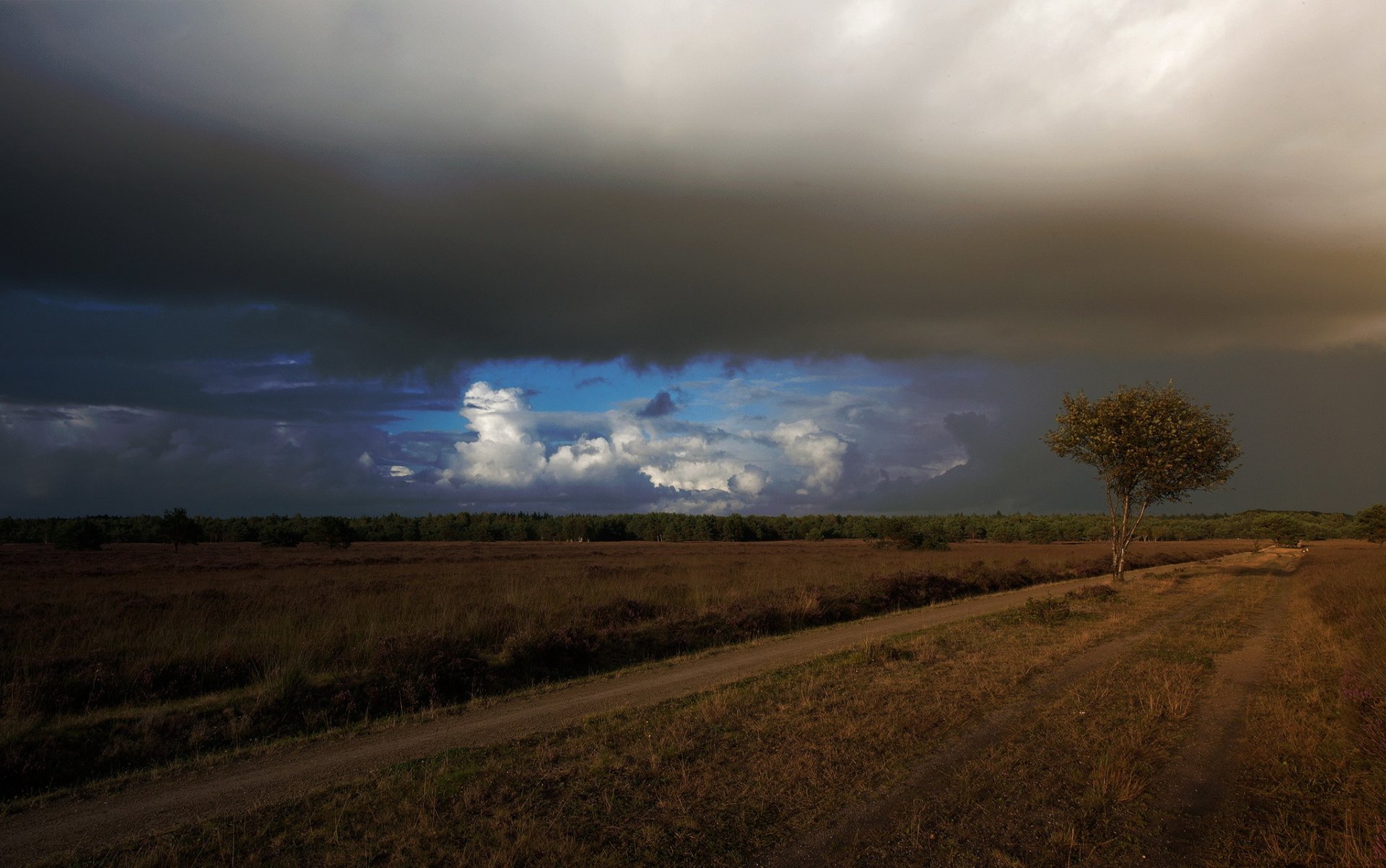 of the field road tree cloud