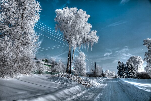 Terciopelo de nieve en las extensiones rusas