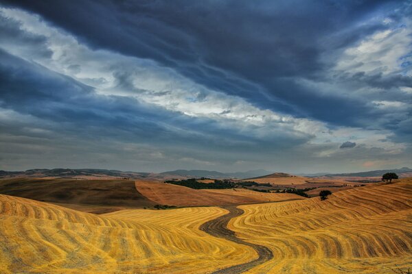 Serpentine road among golden fields