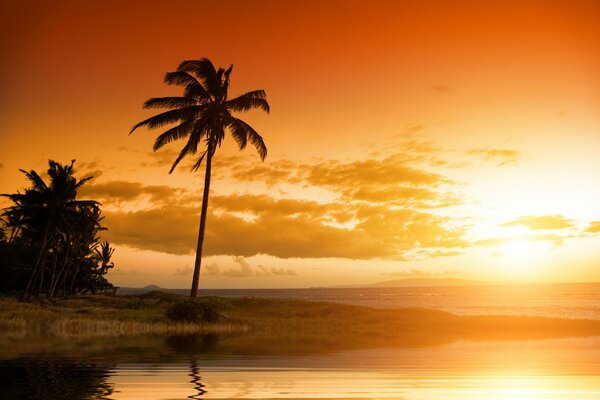 Paesaggio tropicale Hawaii, natura, nuvole