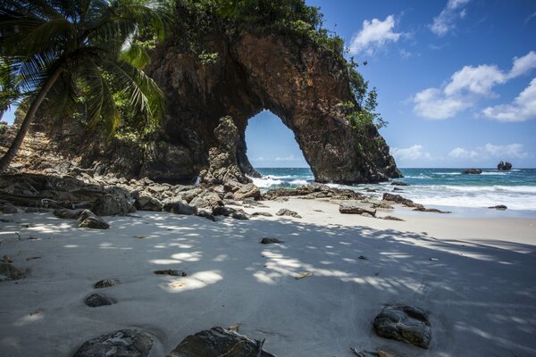 Der Felsen hinter dem weißen Strand. Palmen und Wolken