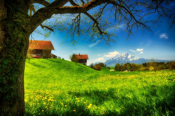 Belle case su una montagna e una radura soleggiata