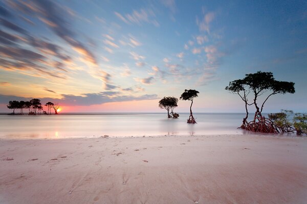 Plage con sabbia rosa e tramonto