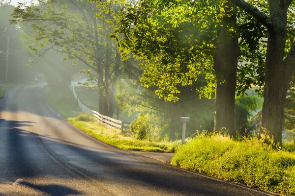 Schöne Landschaft. Straße im Nebel