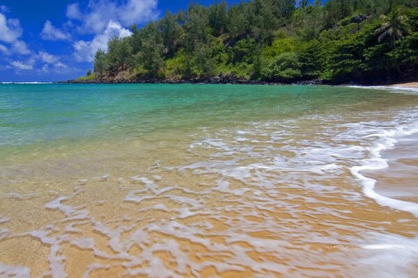 Eau de mer transparente sur la plage du Sud