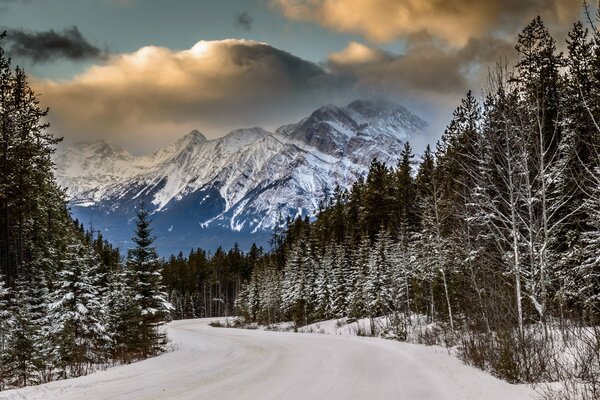 A wide winter road runs through the tall fir trees to the high mountains