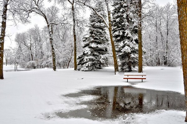 Spiegelfläche im Park