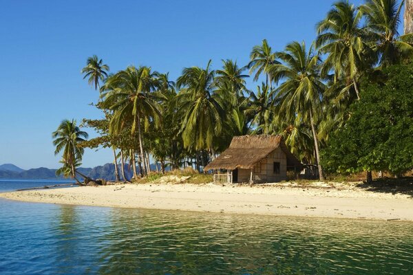 A house on an island under palm trees on the seashore