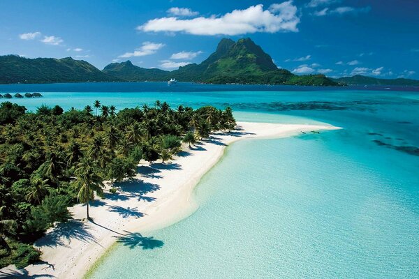 Paradise exotic beach with palm trees