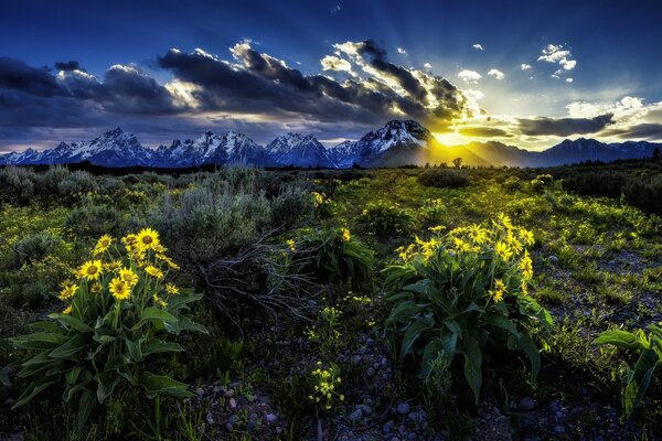 Parque nacional Grand Teton, Wyoming