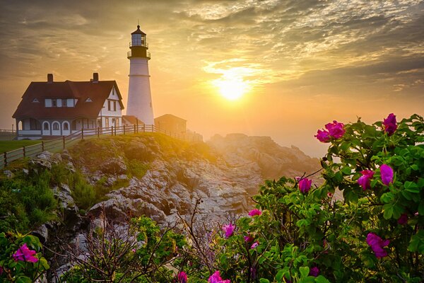 Morning at the lighthouse with blooming roses