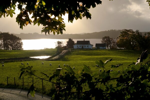 Alba. Casa vicino all acqua, attraverso la lente di fronte agli alberi in piedi