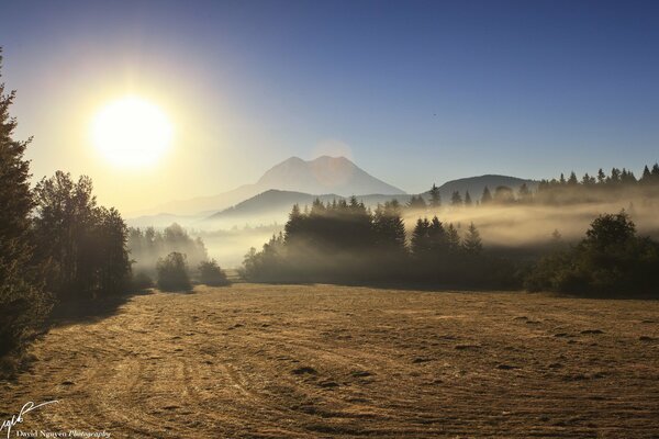 Riflessione del paesaggio, nebbia mattutina nel campo