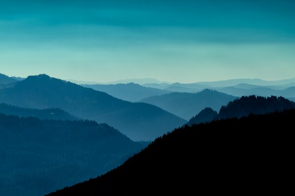 Pierce County from a bird s eye view