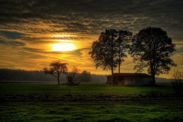 Beau coucher de soleil sur le champ vert