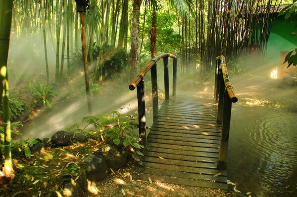 Holzbrücke über einen Waldbach