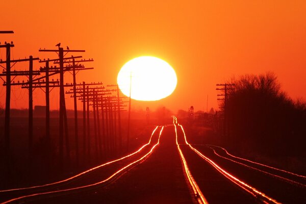 The rails of the railway going into the sunset