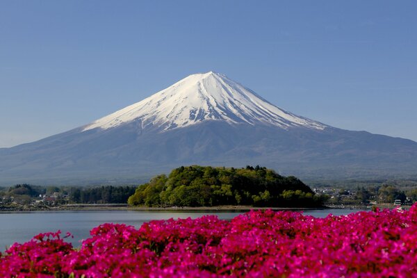 Japan amazing view of Mount Fujiyama