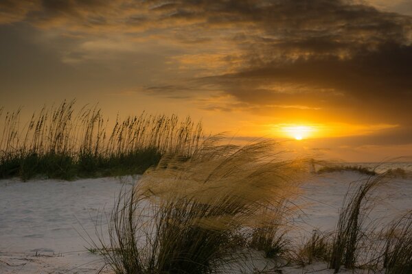 Florida- Strandwind bei Sonnenuntergang