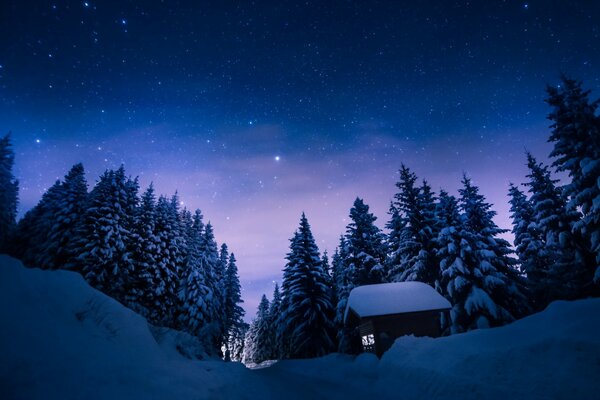 Casa di paesaggio invernale nella foresta in cumuli di neve