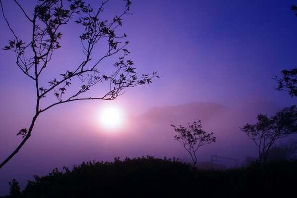 Luce crepuscolare del sole al tramonto