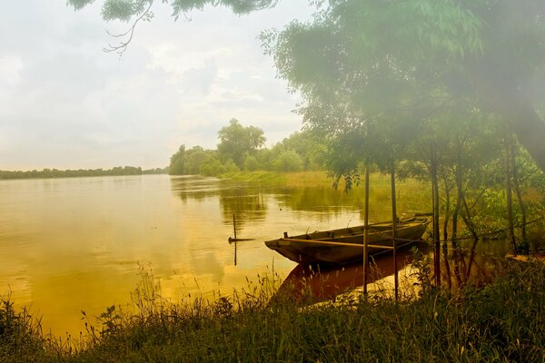 Bosque de niebla con lago y barco