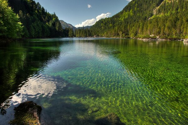 Lac transparent au milieu de la Taïga