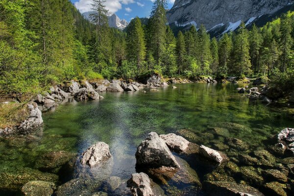 Repubblica di Avstrija natura montagna e fiume