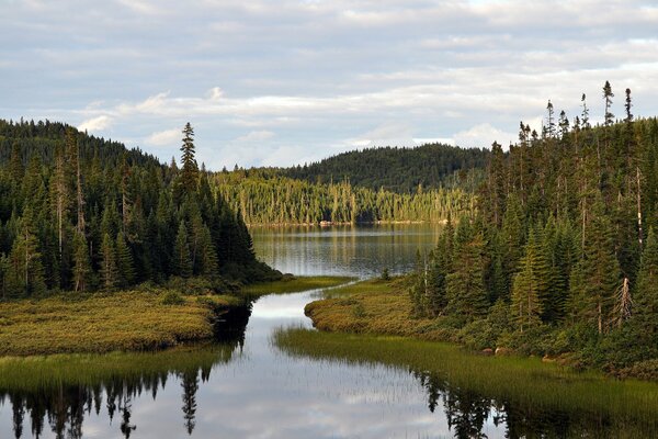 The beauty of nature with a bay