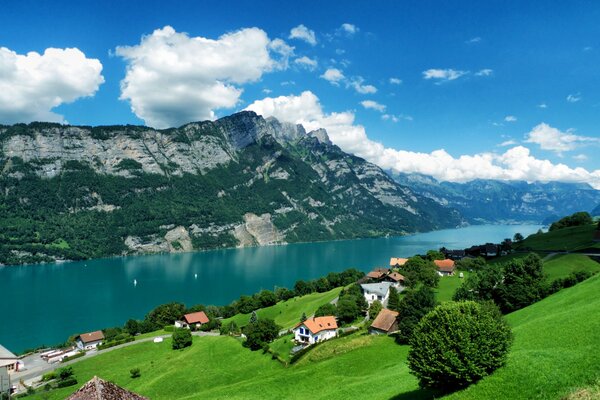 Splendida vista sulle montagne e sui boschi