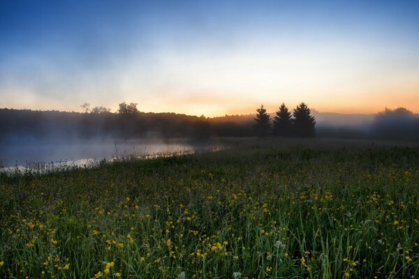 River in the field with morning fog, frost landscape