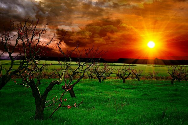 Sonnenuntergang vor der Zeit mit atemberaubender Landschaft