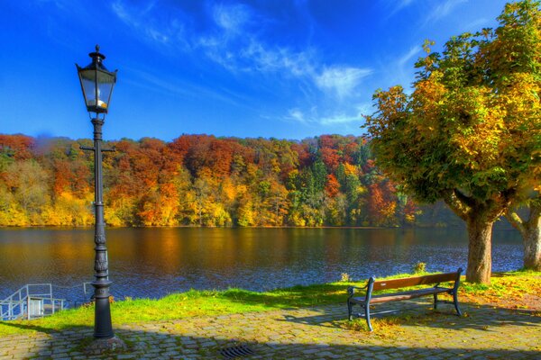 Photos of the autumn nature of a German park with lanterns, trees, a bench